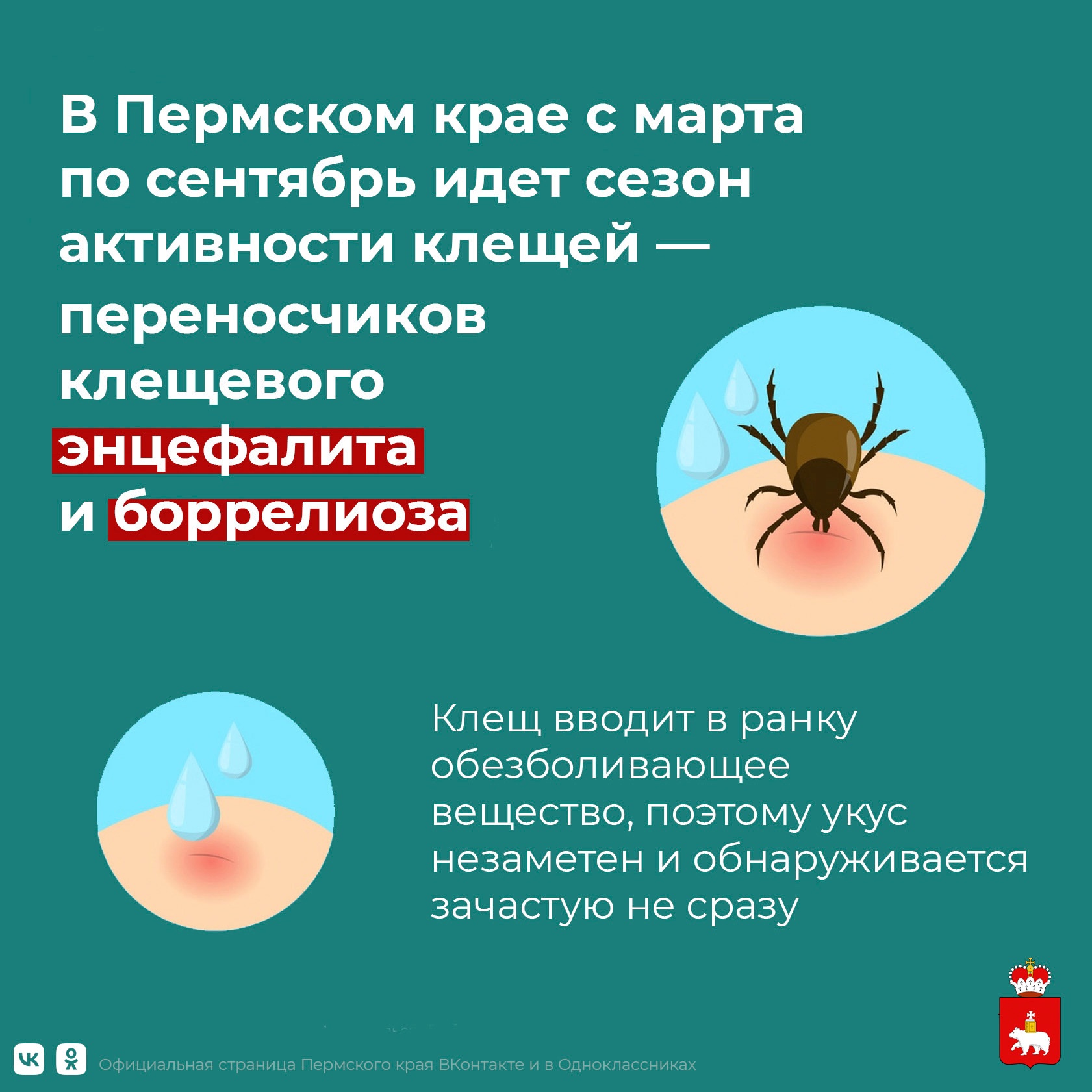 Что делать, если укусил клещ?